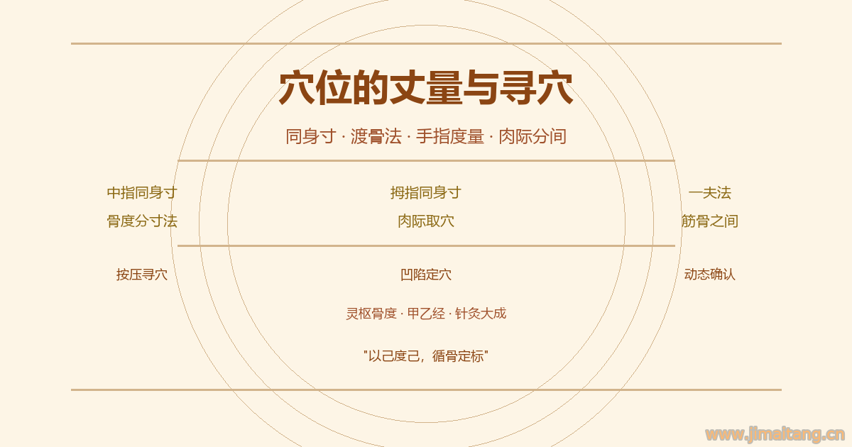 穴位的丈量与寻穴